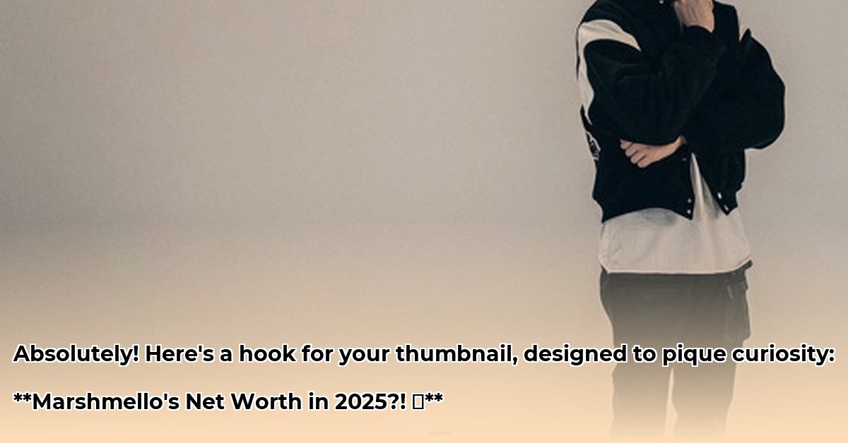 marshmello-net-worth